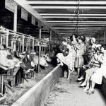 1930. Moo-sic for Moo Cows