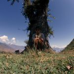 Self-portraits of George Harrison with a Fisheye Lens, 1966 (8)