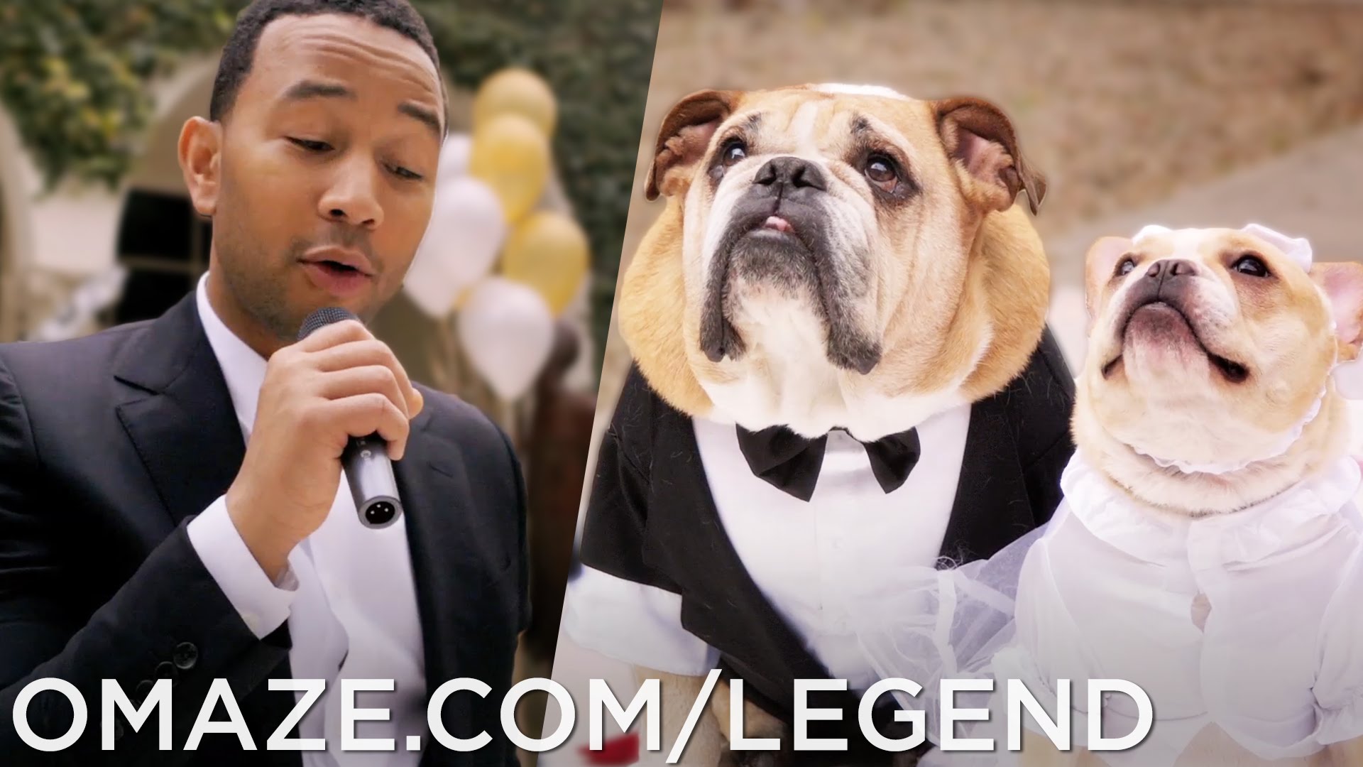 John Legend serenades his dogs at their very own wedding
