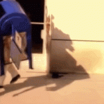 anigif_original-grid-image-16180-1433963479-6