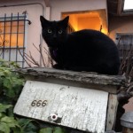 picdump-1440-1