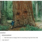 11224046_748961438541382_4065194003323679540_n