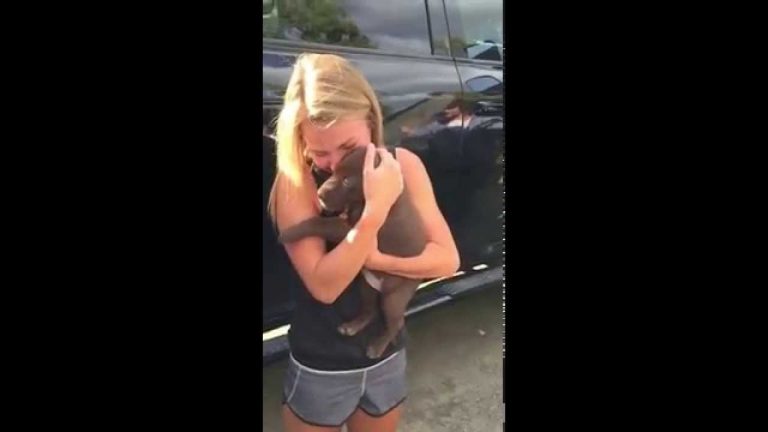 The best marriage proposal you’ll see all week. Involves new puppy.