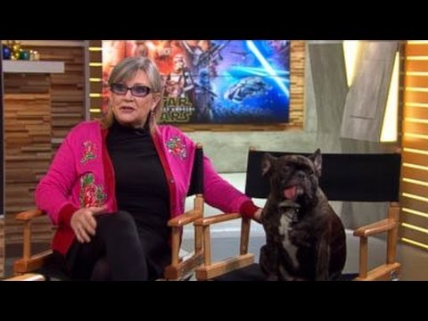 What Happens When Carrie Fisher Brings Her Dog To Star Wars Media Interview? This.