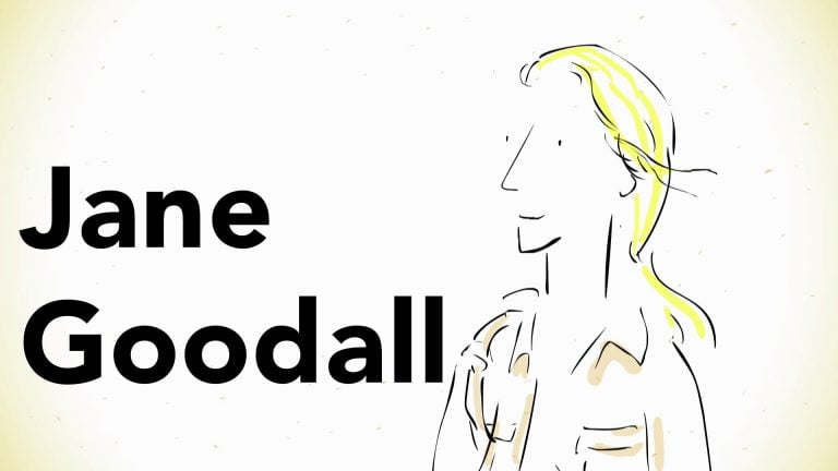 Jane Goodall Talks About Her Work With Wild Chimpanzees In A 2002 NPR Interview