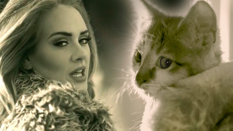 SPCA Parodies Adele’s “Hello” For Adoption Campaign