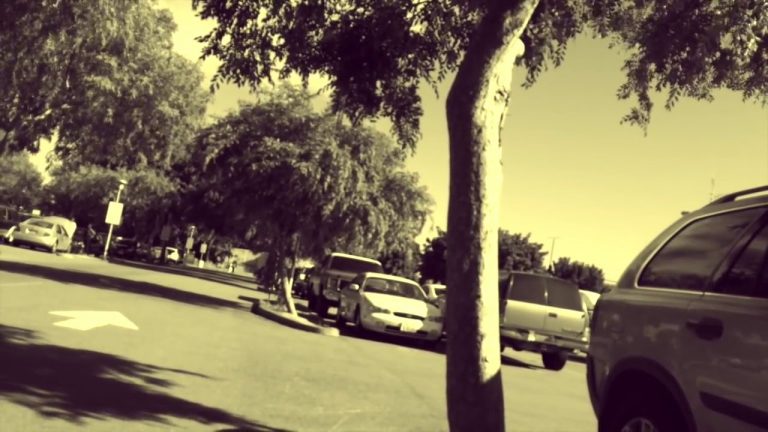 This car alarm needed it’s battery changed, but it could be the next EDM hit