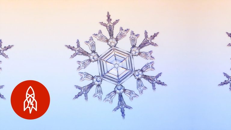 Here’s a job you never thought was possible: A snowflake consultant.