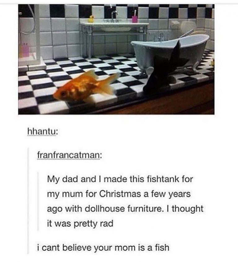 this is funnier than it should be