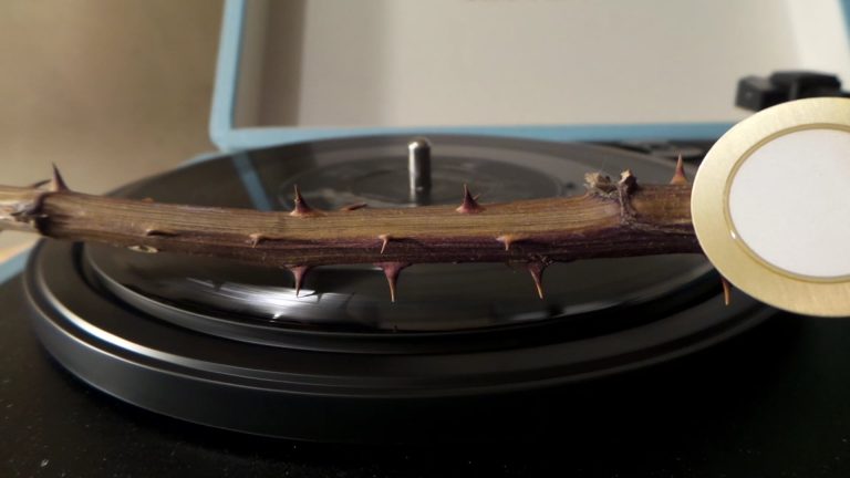 Watch A Rose Bush Play ‘Every Rose Has Its Thorn’ Because Meta