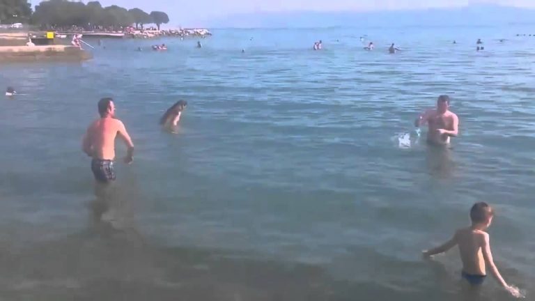 Literally Throwing A Frisbee Can Be Great Fun. Sorta.