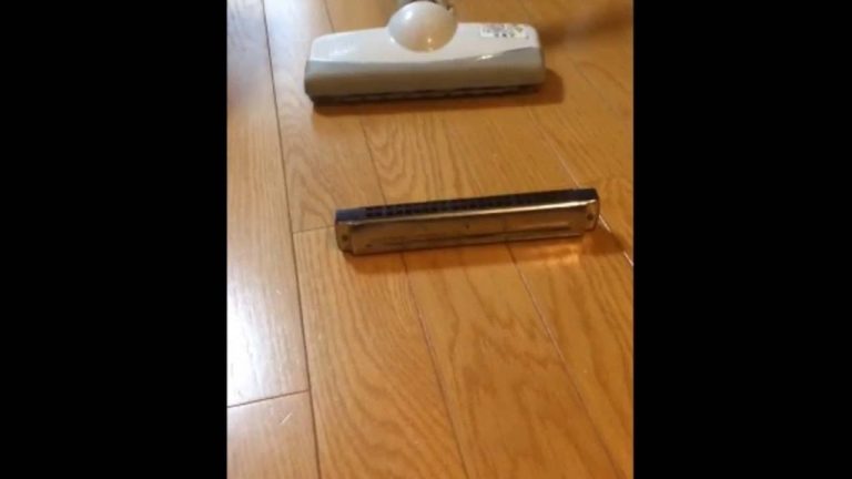 Vacuum Cleaner Meets A Harmonica