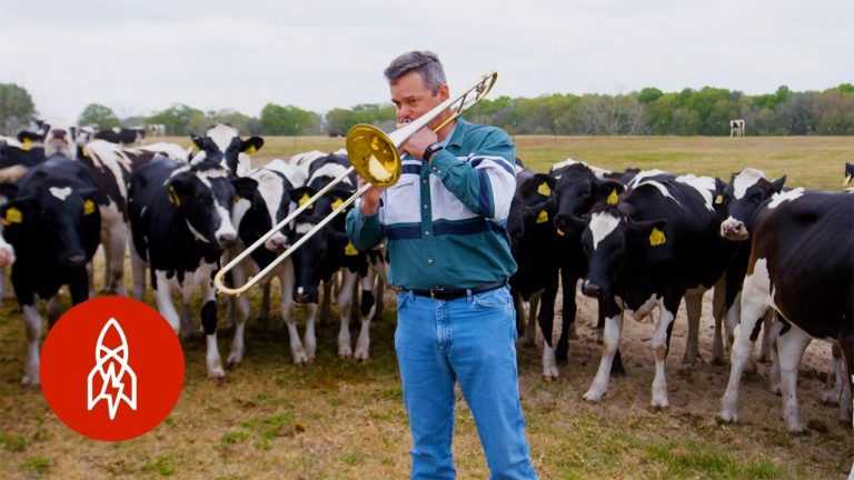 Florida Dairy Farmer Plays Jazz On His Trombone For His Cows
