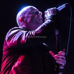 Headstone – Canal Days