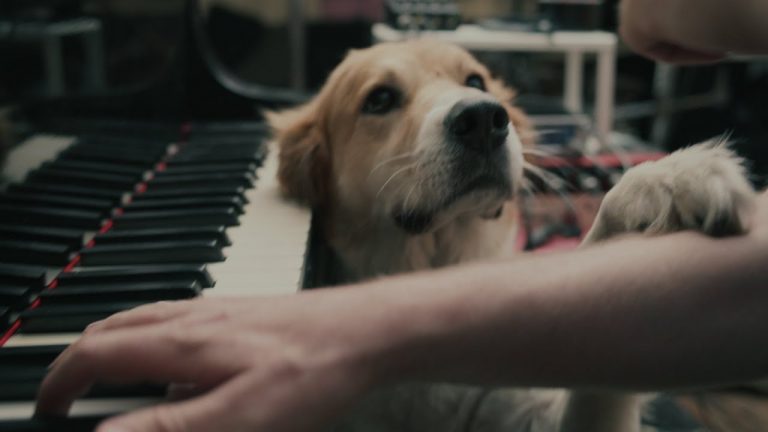 Piano Player Takes On The Eagles “Hotel California,” Even With The Guitar Solos