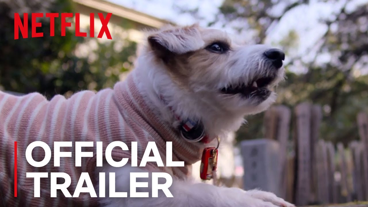 Here's The First Trailer for Netflix's 'Dogs' Documentary Series That
