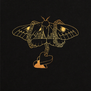 David Gray Announces New Album “Gold In A Brass Age” And World Tour in 2019