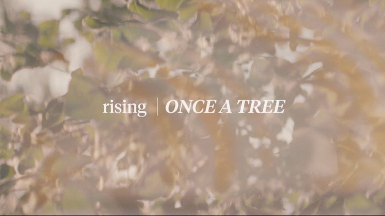 Rising, a new series from JUNO TV, showcases the stories behind inspiring Canadian artists