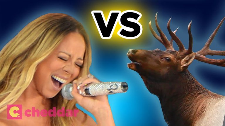 Mariah Carey’s Vocal Range, As Explained By Science