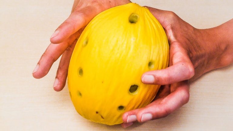 Smash Mouth Song ‘All Star’ Played on Ocarinas Made Out of Melons