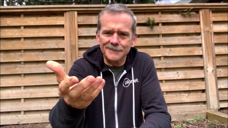 Astronaut Chris Hadfield guide to self-isolation