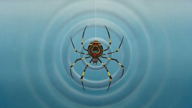 The Grateful Dead Release New Video For “Ripples,” 50 Years After Release