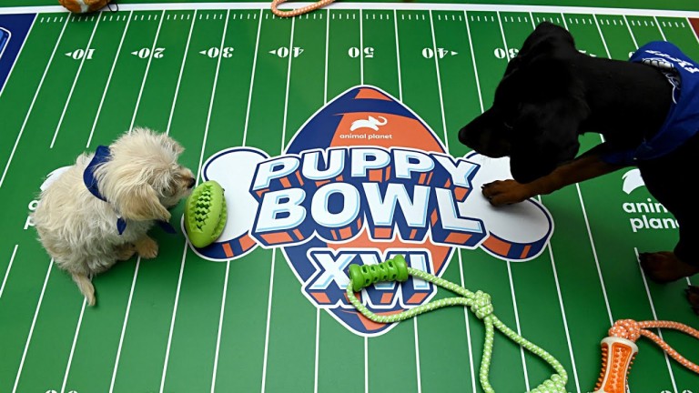 Puppy Bowl Returns for an Epic Showdown Between Team Ruff & Team Fluff on Sunday, Feb. 7, 2021