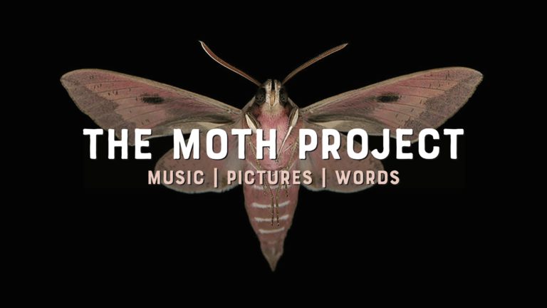 THE MOTH PROJECT in Toronto and Ottawa – You’ve NEVER Seen A Concert Like This