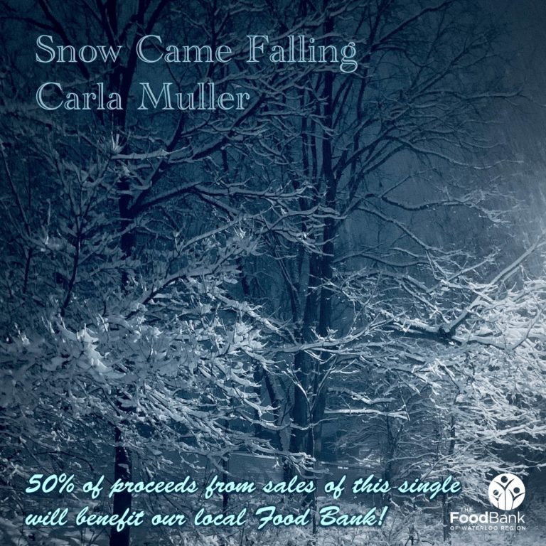 Carla Muller Crystallizes The Meditative Beauty Of A Snowstorm In “Snow Came Falling”