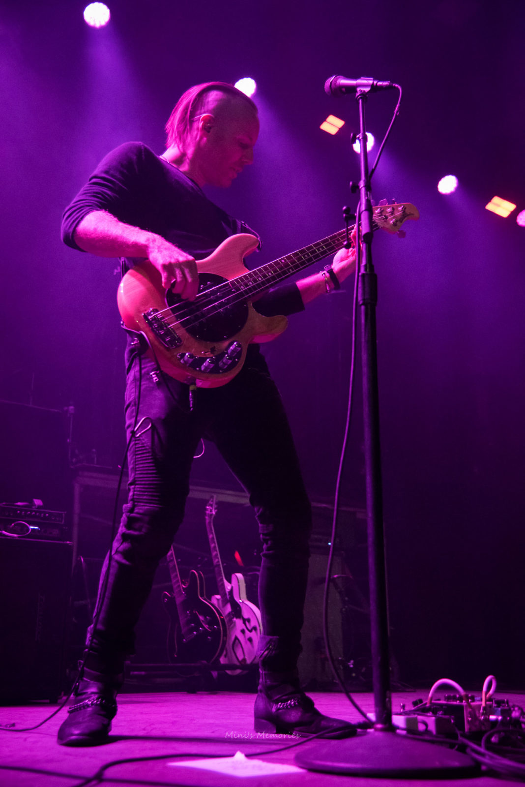 Photo Gallery: Bush with The Standstills at Toronto's History - That ...