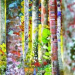 David-Sylvian-Do-You-Know-Me-Now-Box-Set-Cover-620×620-1