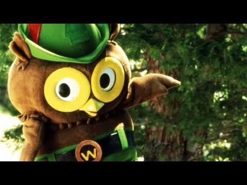 Woodsy Owl In the Anti-Pollution Short Film “Help Woodsy Spread the Word” From 1977
