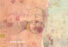 David Sylvian’s ‘The Good Son vs The Only Daughter’ and ‘Died in the Wool’ Debut on Vinyl