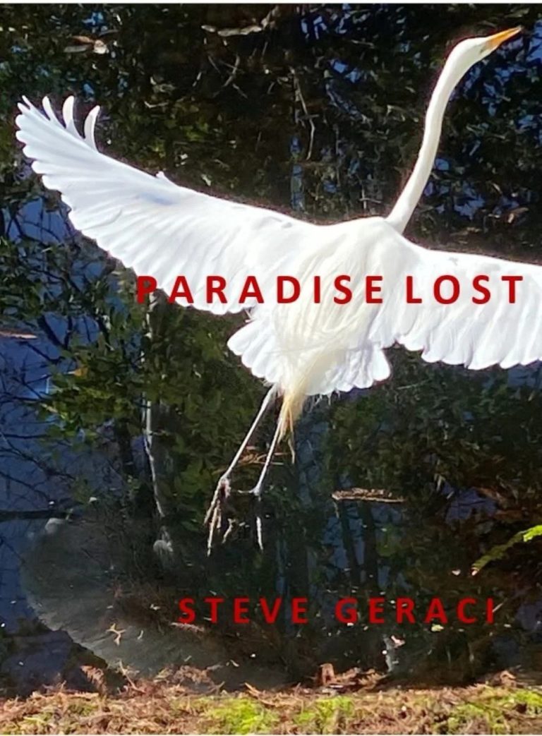 Steve Geraci Releases Soulful New Single “Paradise Lost”