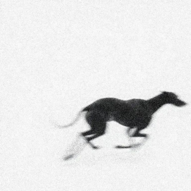 Feral Family Return With New EP ‘So Far Behind’ And 2026 UK Live Dates