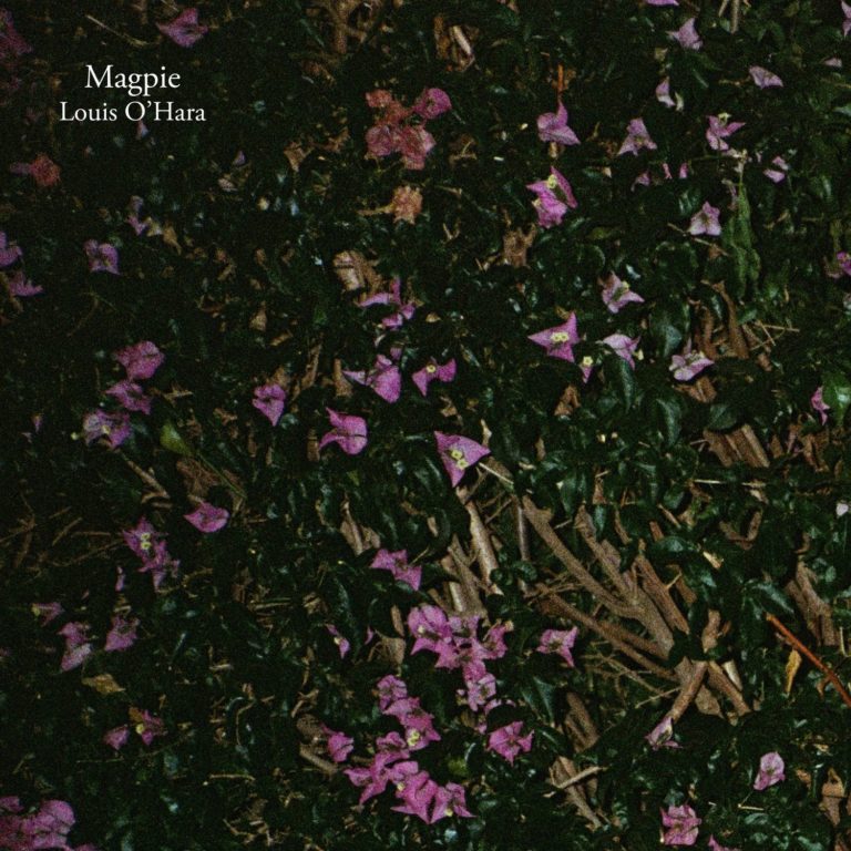 West Wales Folk Songwriter Louis O’Hara Releases Debut Album ‘A Peaceful Kind of Fun’