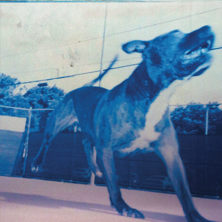 Hawaii-Manchester Duo Still Blank Deliver Their Self-Titled Debut Album via Capitol Records