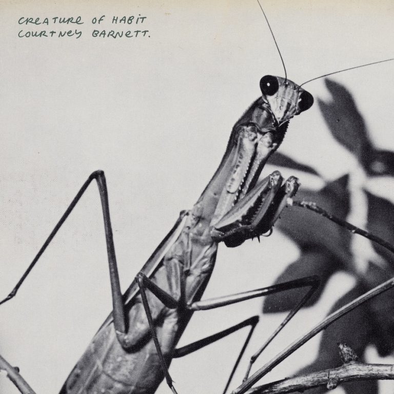 Courtney Barnett Releases “One Thing At A Time” and Announces North American Tour Behind Fourth Album ‘Creature of Habit’