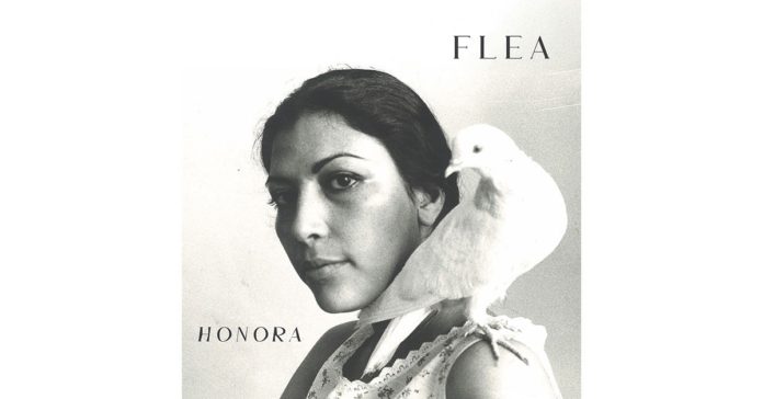 flea-honora-1200x628